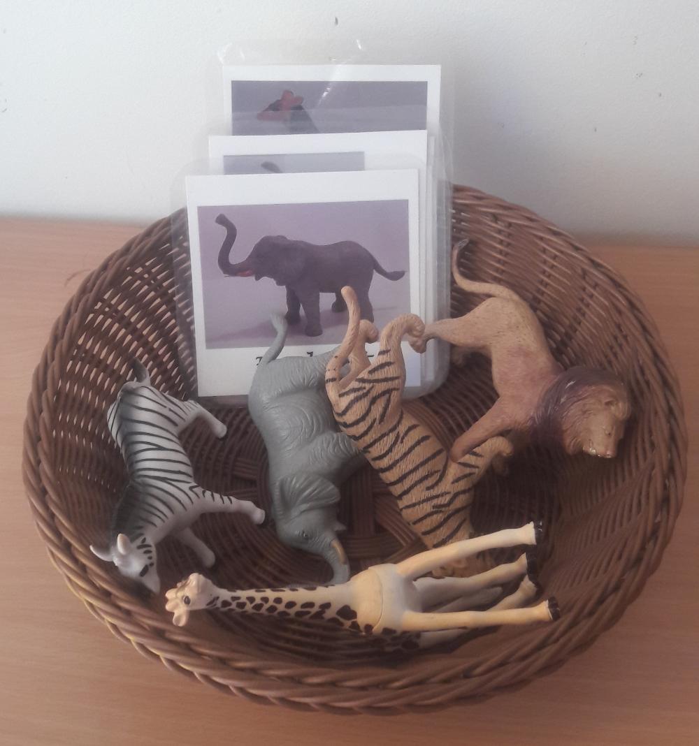 DIY Animal Picture Cards
